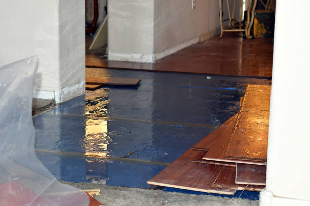 Professional Basement Flood Cleanup technician working in Clarks Grove, MN
